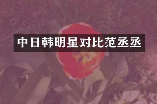 中日韩明星对比范丞丞