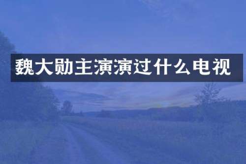 魏大勋主演演过什么电视