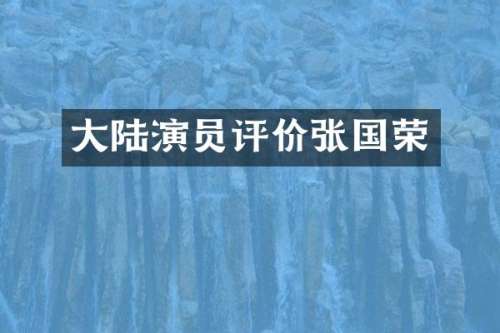 大陆演员评价张国荣