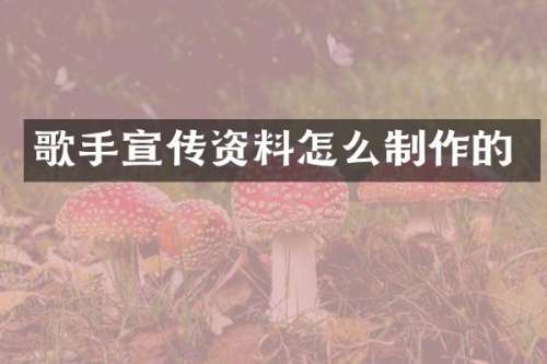歌手宣传资料怎么制作的