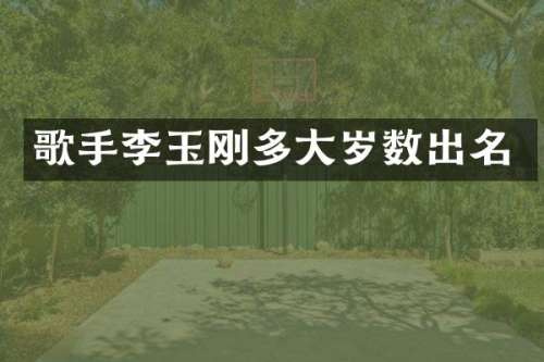 歌手李玉刚多大岁数出名