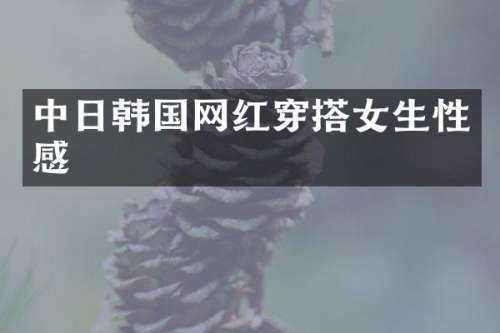 中日韩国网红穿搭女生性感