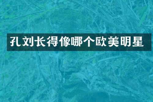 孔刘长得像哪个欧美明星