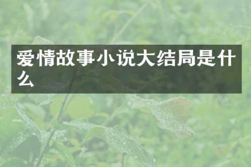 爱情故事小说大结局是什么
