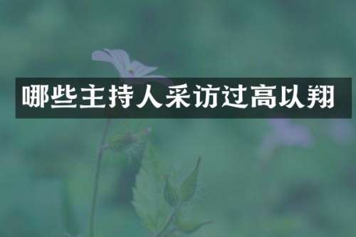 哪些主持人采访过高以翔