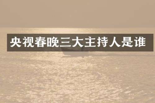 央视三大主持人是谁