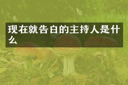 现在就告白的主持人是什么