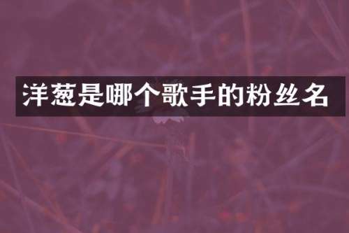 洋葱是哪个歌手的粉丝名
