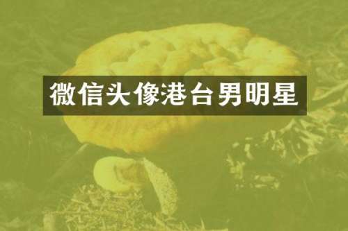 微信头像港台男明星