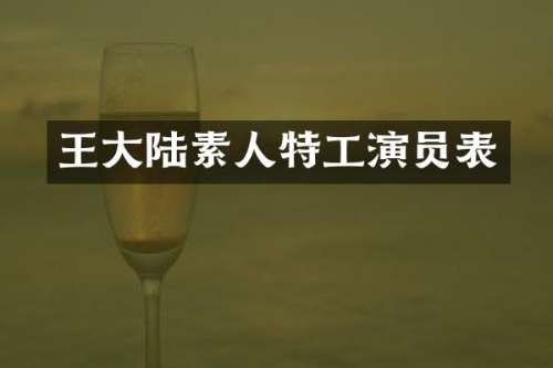 王大陆素人特工演员表