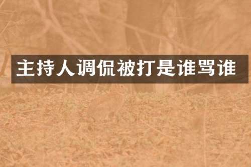 主持人调侃被打是谁骂谁