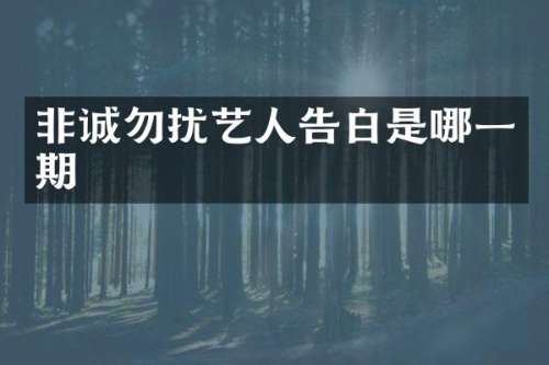非诚勿扰艺人告白是哪一期