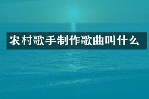农村歌手制作歌曲叫什么