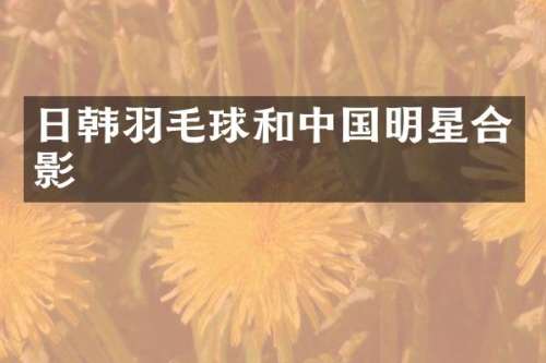 日韩羽毛球和中国明星合影