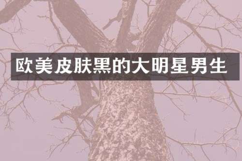 欧美皮肤黑的大明星男生
