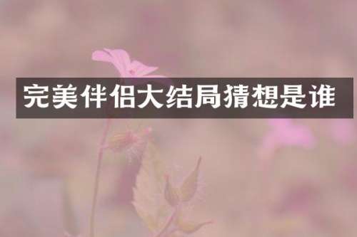 完美伴侣大结局猜想是谁