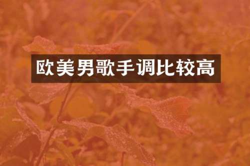 欧美男歌手调比较高