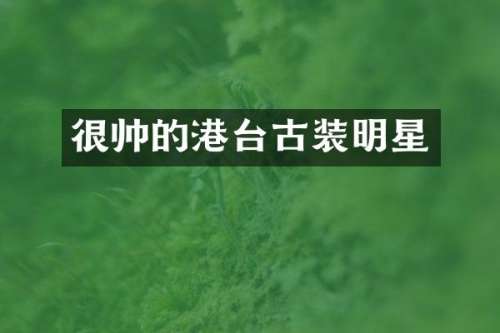 很帅的港台古装明星