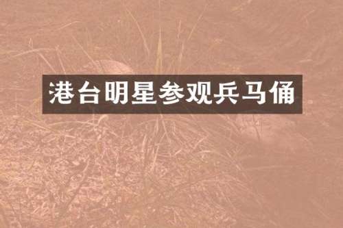 港台明星参观兵马俑