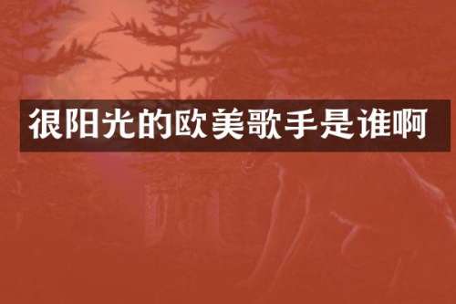 很阳光的欧美歌手是谁啊
