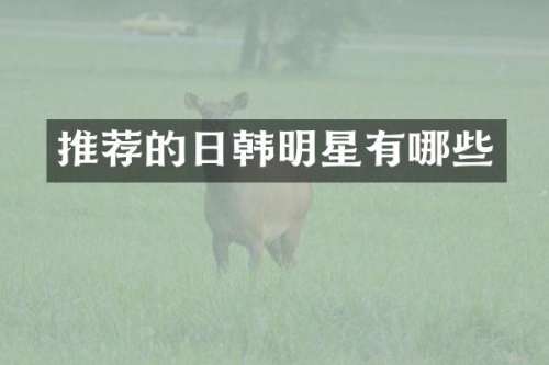 推荐的日韩明星有哪些