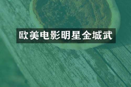 欧美电影明星金城武