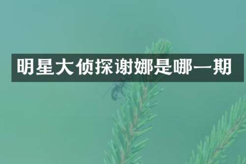 明星大侦探谢娜是哪一期