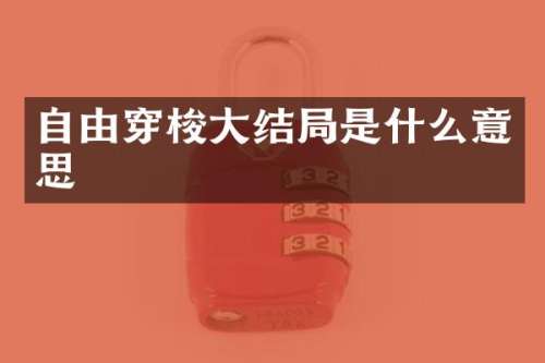 自由穿梭大结局是什么意思