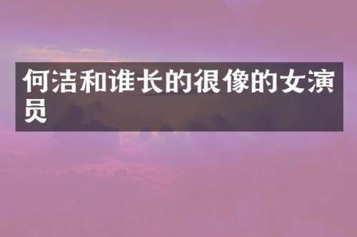 何洁和谁长的很像的女演员