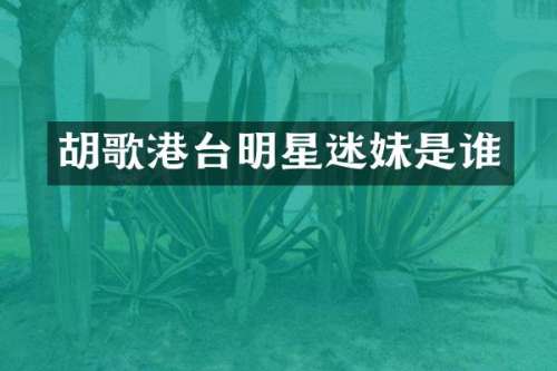 胡歌港台明星迷妹是谁