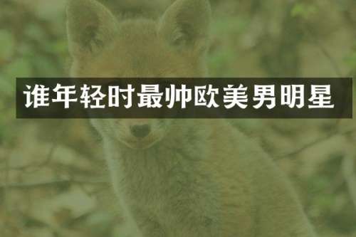 谁年轻时最帅欧美男明星