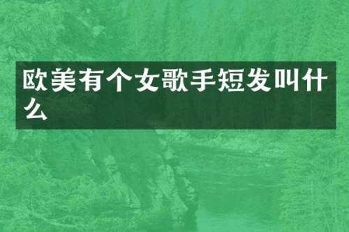 欧美有个女歌手短发叫什么