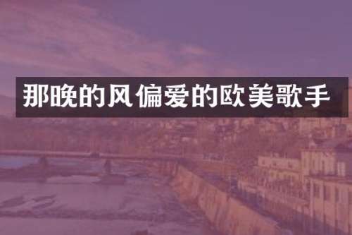 那晚的风偏爱的欧美歌手
