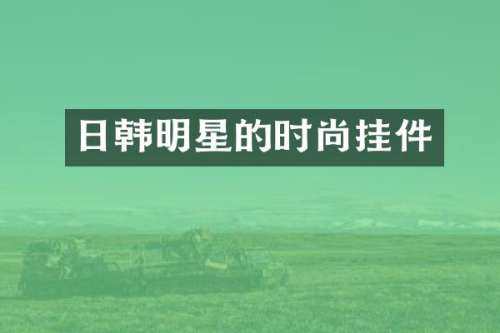 日韩明星的时尚挂件