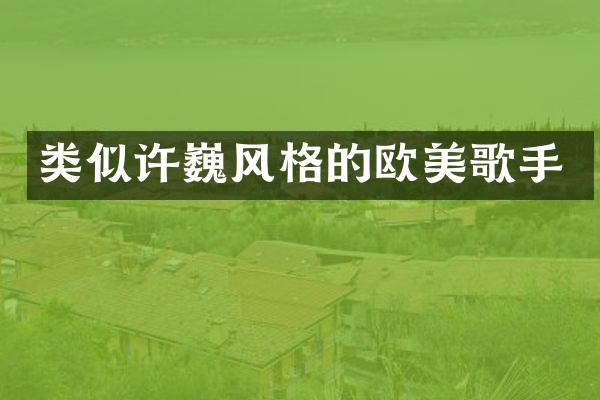 类似许巍风格的欧美歌手