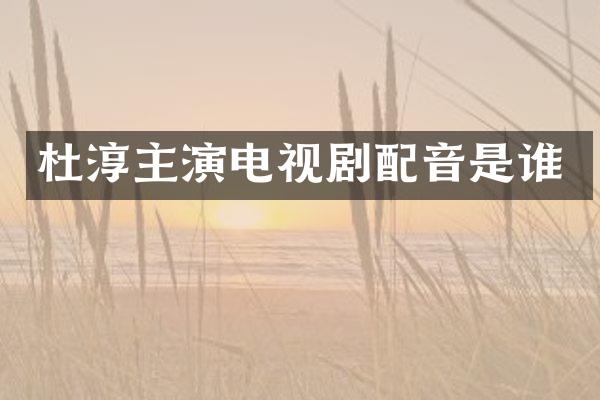 杜淳主演电视剧配音是谁