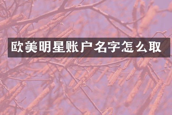 欧美明星账户名字怎么取