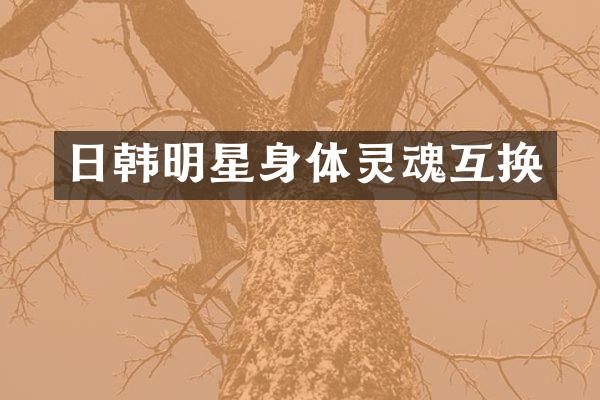 日韩明星身体灵魂互换
