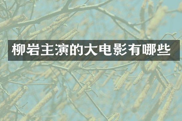 柳岩主演的大电影有哪些