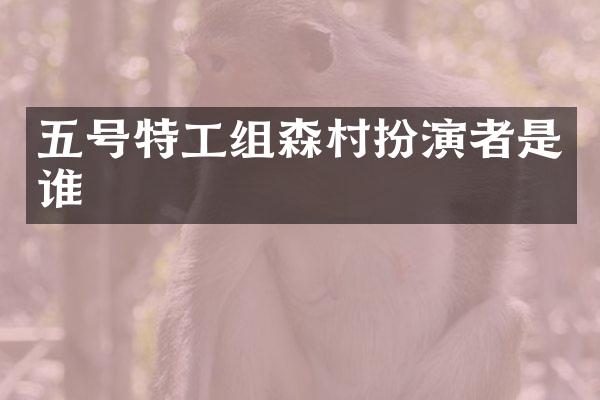 五号特工组森村扮演者是谁