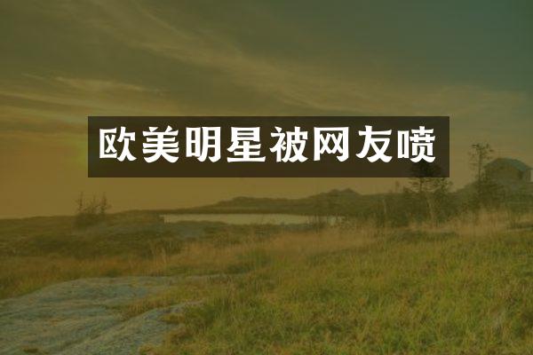 欧美明星被网友喷