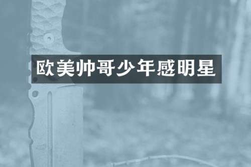欧美帅哥少年感明星