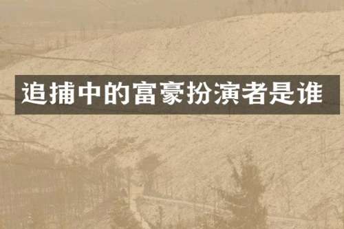 追捕中的富豪扮演者是谁