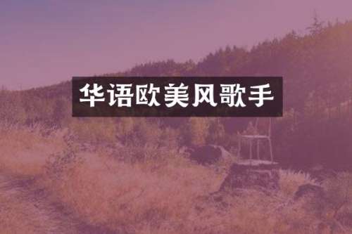 华语欧美风歌手