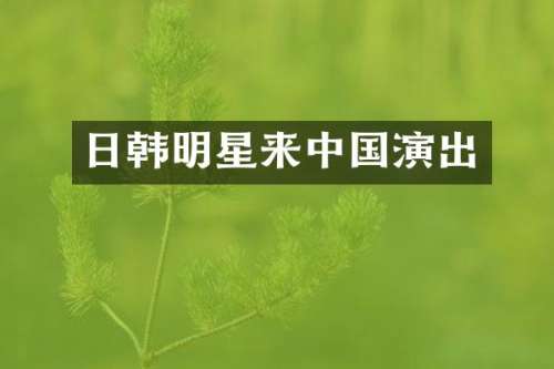 日韩明星来中国演出