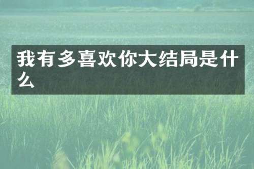 我有多喜欢你大结局是什么