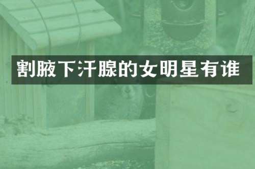 割腋下汗腺的女明星有谁
