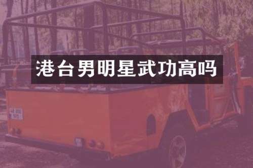 港台男明星武功高吗