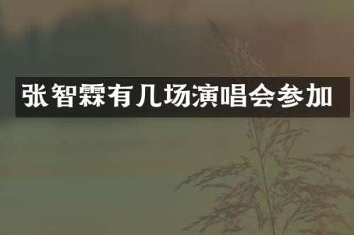 张智霖有几场演唱会参加