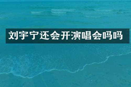 刘宇宁还会开演唱会吗吗